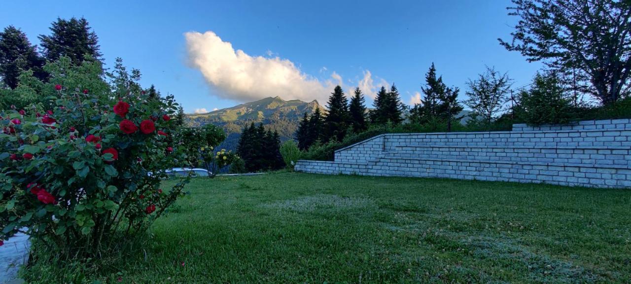 Ξενοδοχείο Μαγκιωση Neraïdochóri Exterior foto